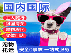 德宏芒市航空托运国际宠物托运 【国